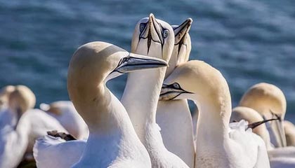 温州高价上海医保卡取现黄牛的最新政策(2025年温州2024上海医保卡可以取钱吗分享)