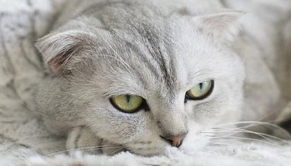 温州高价上海医保提取2025的最新政策(2025年温州上海医保怎么提取现金分享)